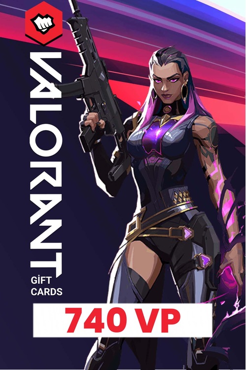 Valorant 740 VP