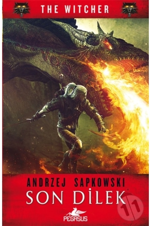Son Dilek - The Witcher 1
