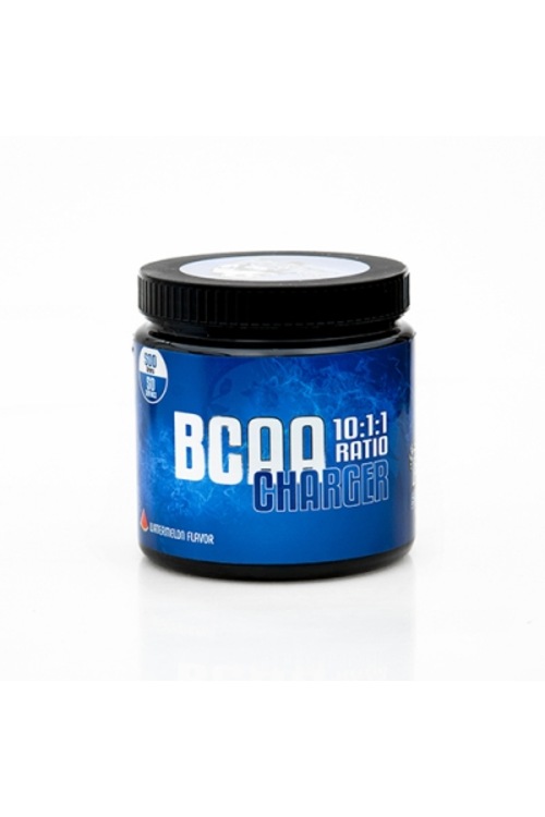 King Panda Bcaa 10:1:1 Ratio Charger 500 Gr