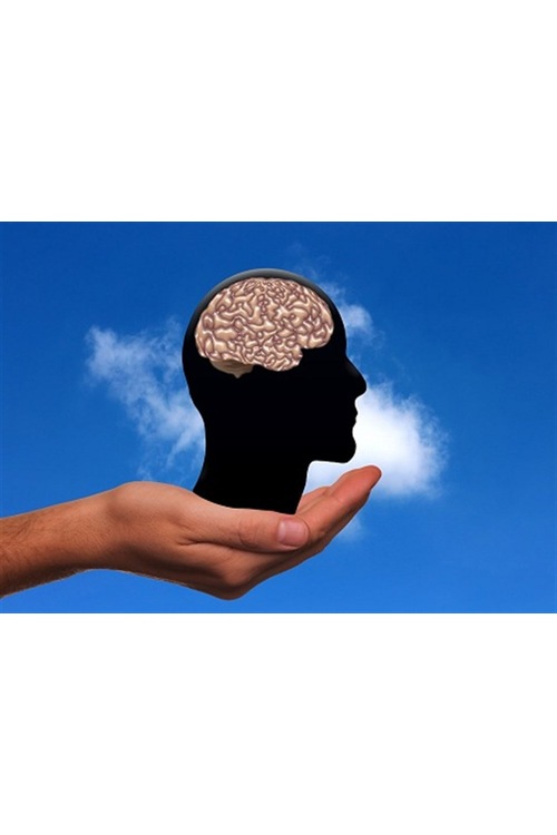 NLP Practitioner Sertifika Programı Temel Eğitim