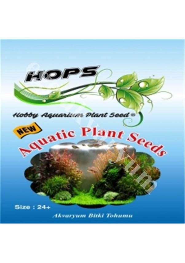 Aquatic Plant Seeds Bitki Tohumu Fiyatları ve Özellikleri