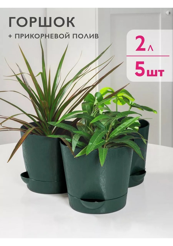 Resim Ho'me Kökden Sulamalı Saksı, 5 Adet, 2 Litre 176180684 