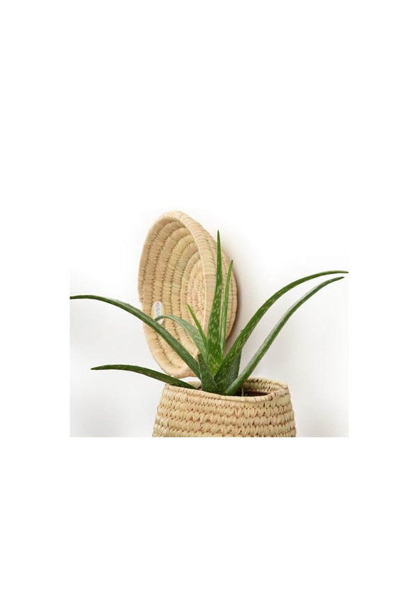 Festuca Hasır Duvar Tabağı 30 Cm Fiyatları ve Özellikleri Festuca Hasır Duvar Tabağı 30 Cm Fiyatları ve Özellikleri