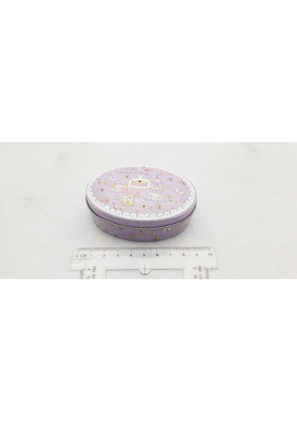 Pastel Resim temalı Takı Aksesuar saklama metal kutusu Model 04 ZN9003
