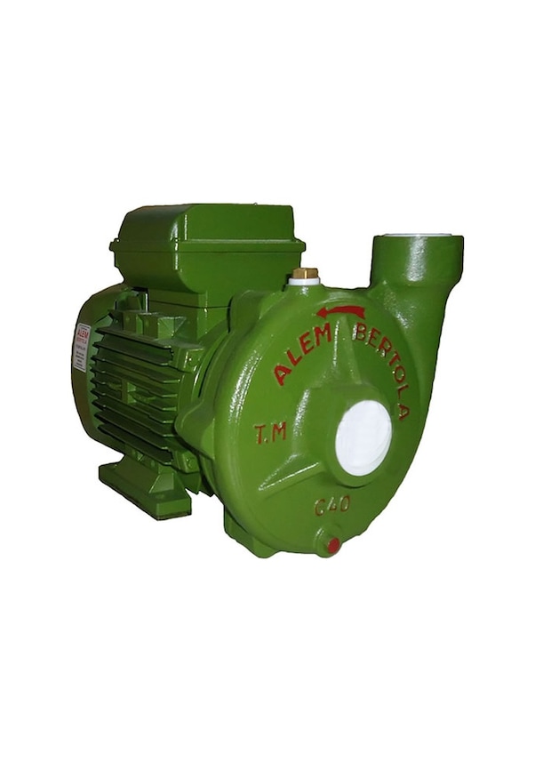 Resim Alem Bertola C40 1Hp Monofaze Santrifüj Pompa 