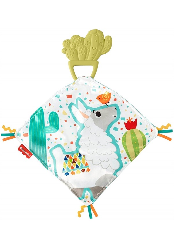 Fisher Price Kaktüs Dişlik Gjd38