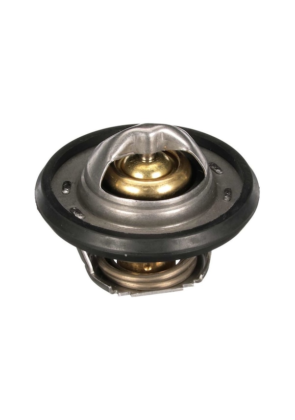 Resim Gates Th64978g1 - Ar-thermostats Th64978g1 Thermostat 