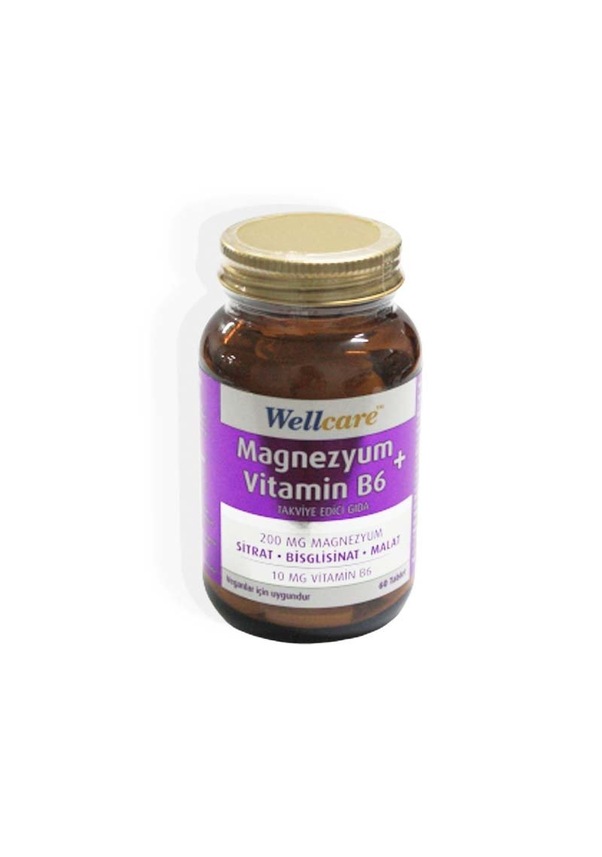 Wellcare Magnezyum+Vitamin B6 60 Tablet Fiyatları ve Özellikleri