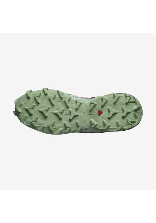 Resim Salomon 475820 Speedcross 6 W Castlerock/vanilla Ice/smoke Green Kadın Outdoor Ayakkabı Gri 