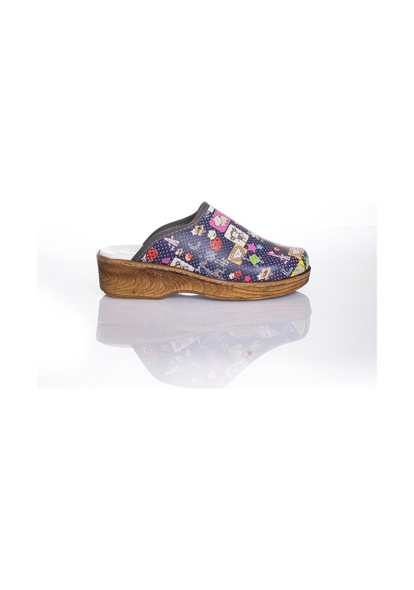 Resim Hayvanat Bahçesi Temalı Ortopedik Sabo Terlik Veteriner Hemşire Çok Renkli 