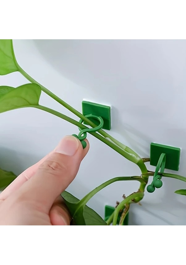 Resim Dashanshop Yeşil Bitki Tırmanma Kancası 30lu Set, Fonksiyonel Ve Dekoratif Bahçe Askısı 