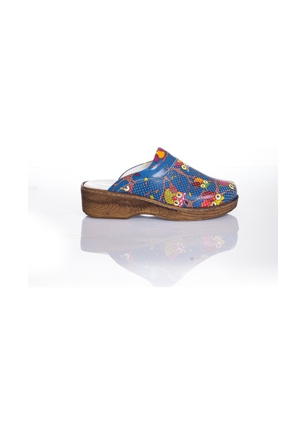 Resim Lacivert Baykuşlar Temalı Ortopedik Sabo Terlik Hemşire Doktor Çok Renkli 