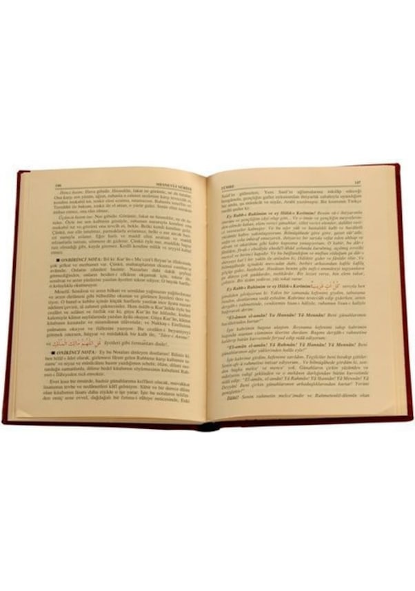 Resim Mesnevi-I Nuriye Rahle Boy - Vinleks 