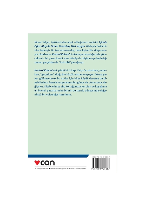 Resim Kontrol Kalemi - Murat Yalçın - Can Yayınları 