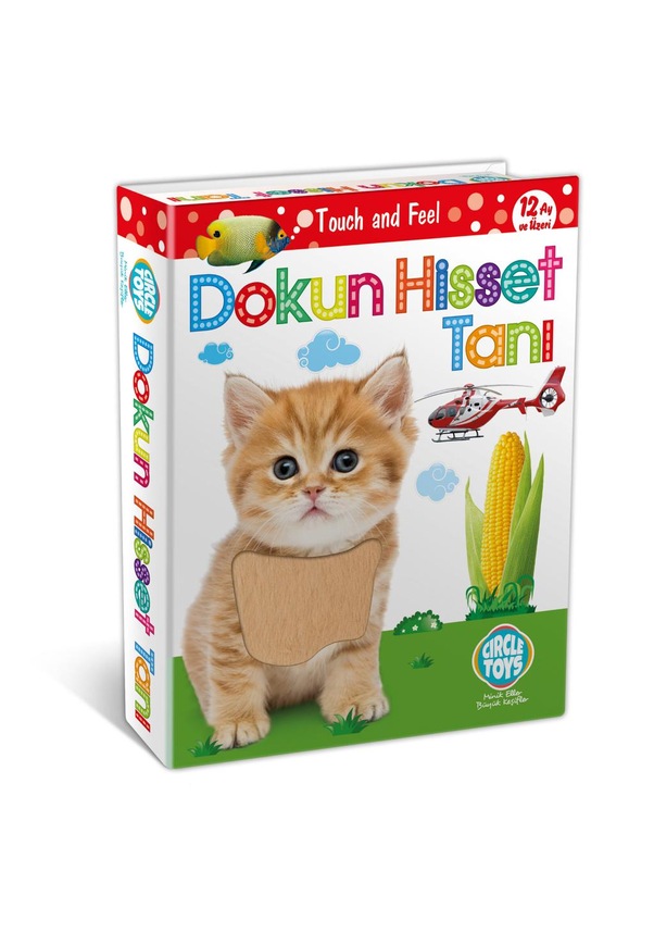 Circle Toys Dokun Hisset Tanı Eğitim Kartları Zeka Kartları