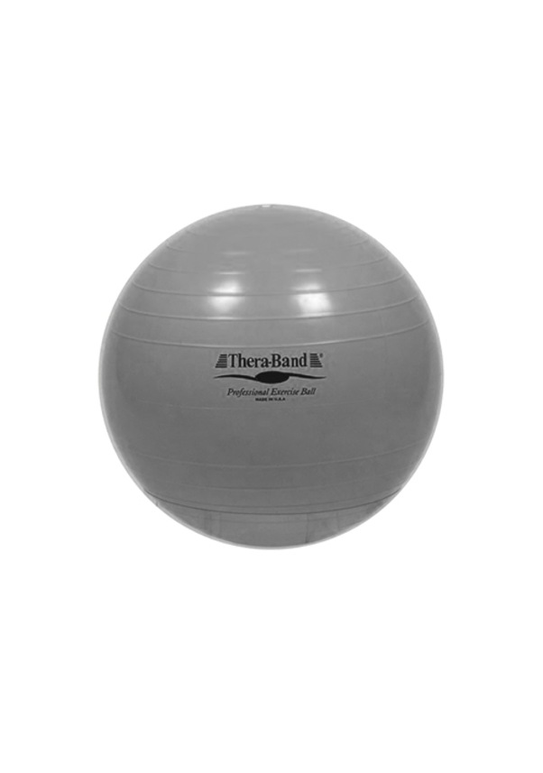 TheraBand® Exercise Balls 85 cm & Abs Ball, Silver Fiyatları ve Özellikleri