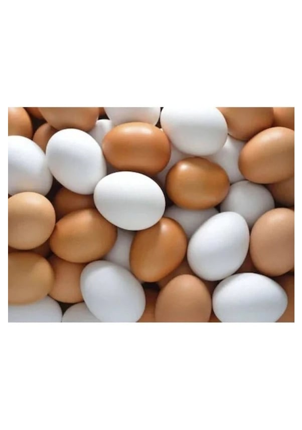 20 Adet Pvc Sahte Tavuk Yumurtası Tavuk Folluk Yapay Yumurta