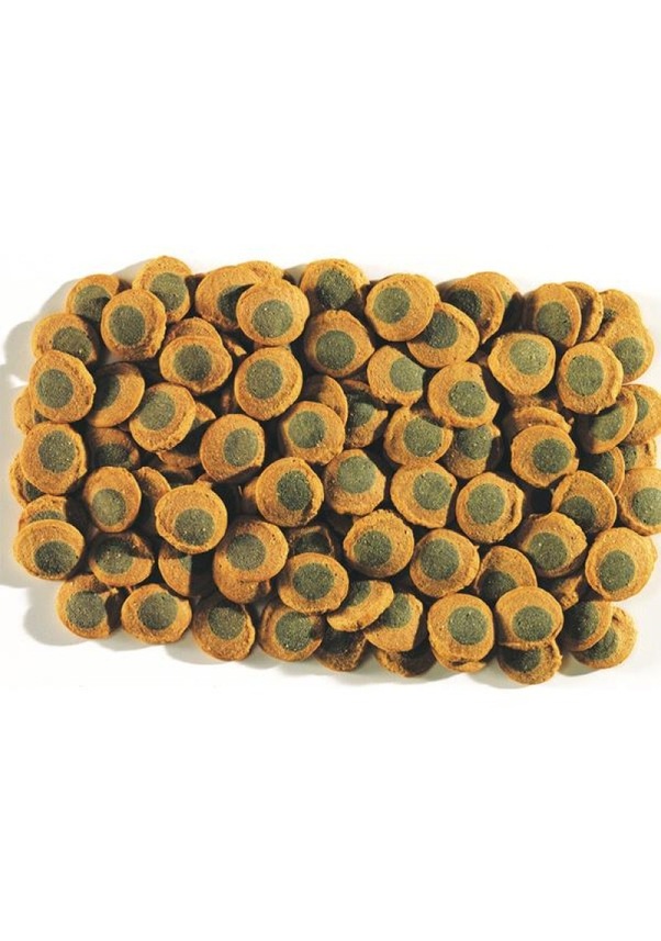 Tetra Pleco Spirulina Algae Wafers 100 Gam Açık Fiyatları ve Özellikleri