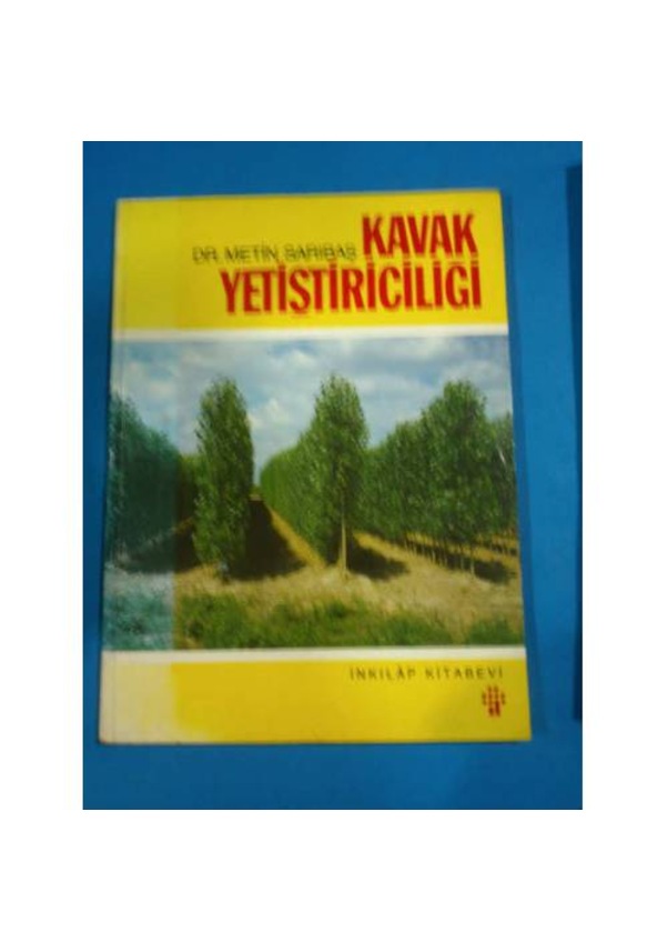 Kavak Yetiştiriciliği Fiyatları ve Özellikleri