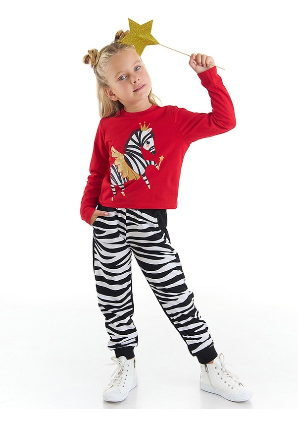 Denokids Balerin Zebra Kız Çocuk T-shirt Pantolon Takım