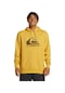 Quiksilver Bıg Logo Hoodıe Renkli
