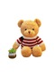 Turki Teddy Ayı Plush Toy Renkli Pillow 40cm Bej Bayrağı