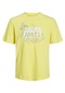 Jack & Jones Erkek T Shirt 12252376 Limon