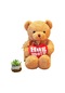 Turki Teddy Ayı Plush Toy Renkli Pillow 40cm Bej Kalp