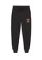 Puma Graphic Booster Erkek Siyah Kapüşonlu Sweatshirt 62481301
