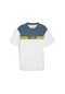 Puma Power Colorblock Tee Beyaz Unisex Kısa Kol T-shirt 000000000102049794 Beyaz-grı
