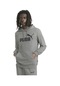 Puma Ess Big Logo Hoodie Erkek Sweatshırt-gri