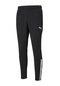 Puma Teamliga Training Pants Erkek Futbol Antrenman Eşofman Altı Siyah