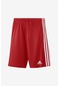 Adidas Squad 21 Sho Gn5771 Kırmızı Erkek Futbol Şortu Kırmızı