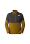 The North Face Glacier Heavyweight 1/2 Zip Erkek Kapüşonlu Sweatshirt Çok Renkli