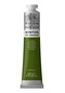 Winsor Newton Winton Yağlı Boya 200ml - N:37 Sap Green