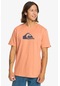 Quiksilver Complogo Tees Pembe Erkek Kısa Kol T-shirt 000000000101933118