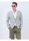 Kip Açık Haki Mikro Modern Fit Keten Karışımlı Ceket Çok Renkli
