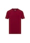 Routefield Tri Erkek Tişört Bordo Bordo