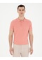 Pierre Cardin Erkek Mercan Kazak /triko 50288148-vr186 Mercan