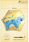 Marlux Fiber 6 Telli Dayanıklı Özel Tasarım Çocuk Şemsiyesi Mavi Kaplan Desenli Mar1099 - Erkek Çocuk