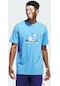 Adidas Blue Summer Logo Graphic Erkek Tişört C-adıın6365e50a00