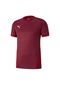 Puma Teamgoal 23 Jersey Erkek Futbol Forması 70417109 Kırmızı Siyah