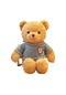 Turki Teddy Ayı Plush Toy Renkli Pillow 40cm Bej Kazak