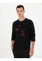 Pierre Cardin Erkek Siyah Sweatshirt 50279556-vr046