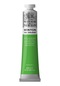 Winsor Newton Winton Yağlı Boya 200 ML - N:403 Phthalo Yellow Gree