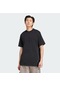 Adidas Fashion Label Graphic Erkek Tişört C-adıjd2311e50a00 Siyah