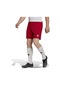 Adidas Ent22 Sho Erkek Futbol Maç Şortu H61735 Kırmızı 001