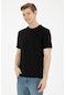 U.s. Polo Assn. Erkek Siyah Tişört Basic 50284618-vr046 Siyah