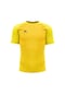 Raru Erkek T-Shirt Nıteo Sarı
