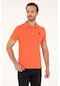 U.s. Polo Assn. Erkek Nar Çiçeği Tişört Basic 50279613-vr039